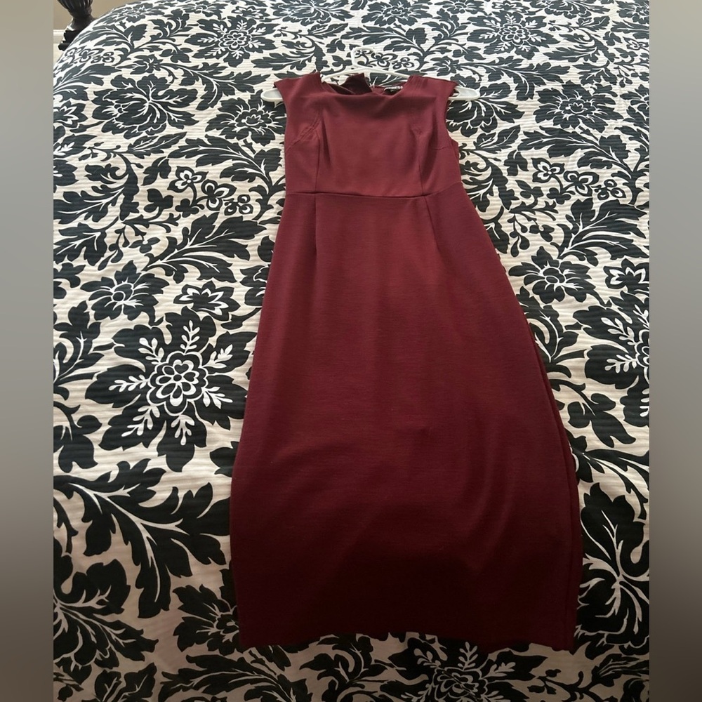 Express Burgundy Sheath dress